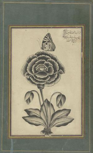 Shafi’ Abbasi, Flower and a Butterfly, 1655 CE, Safavid, Yale University Art Gallery
